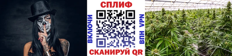 Купить наркотик аптеки Чердынь Бошки Шишки  СК  МДМА  МЕФ 