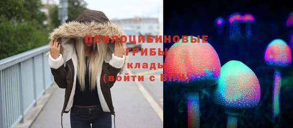 шишки Абаза