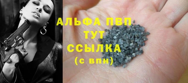 шишки Абаза