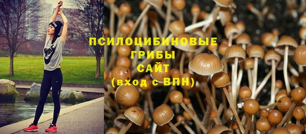 шишки Абаза