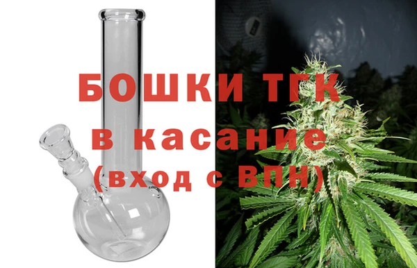 шишки Абаза