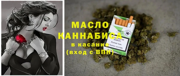 шишки Абаза