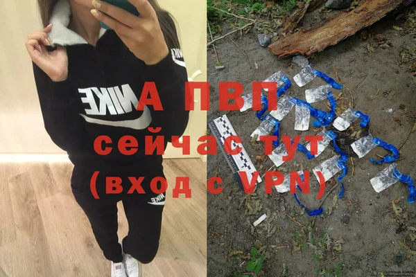 jwh Алзамай