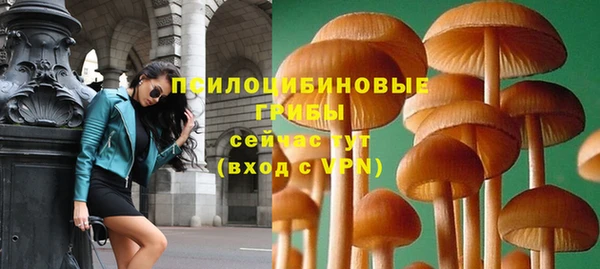 прущие крисы Абинск